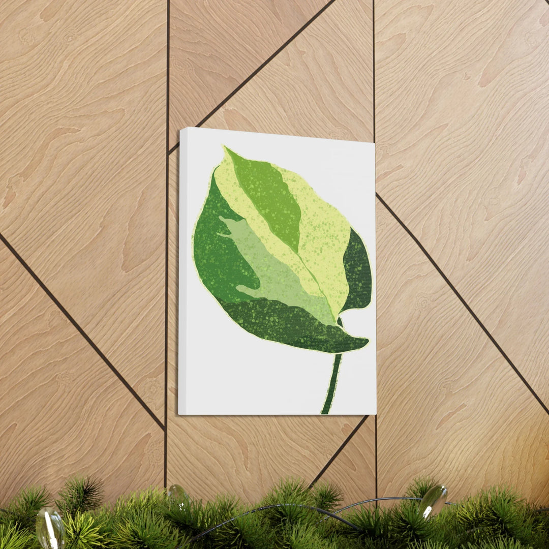 Pothos Canvas Print – Matte Finish Canvas Art Print With Durable Cotton Material - Laura Christine Photography & Design
