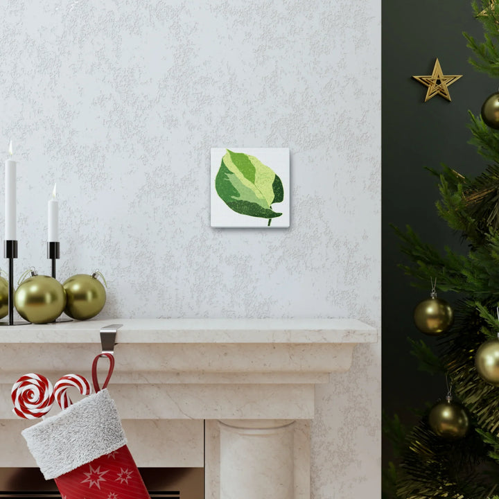 Pothos Canvas Print – Matte Finish Canvas Art Print With Durable Cotton Material - Laura Christine Photography & Design