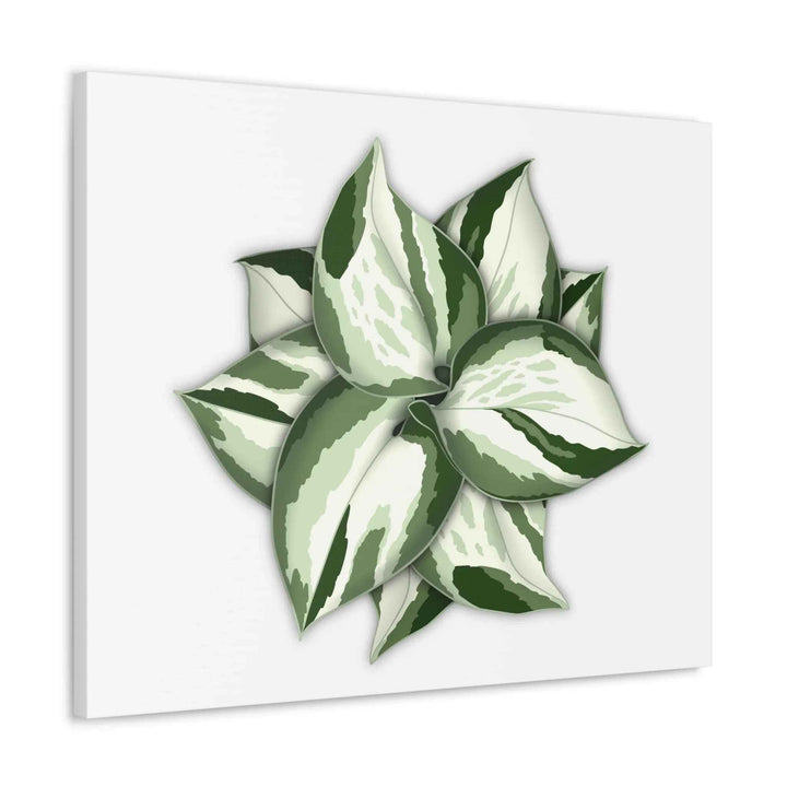 Manjula Pothos Canvas | Botanical Canvas Print - Indoor Plant Print Wall Art