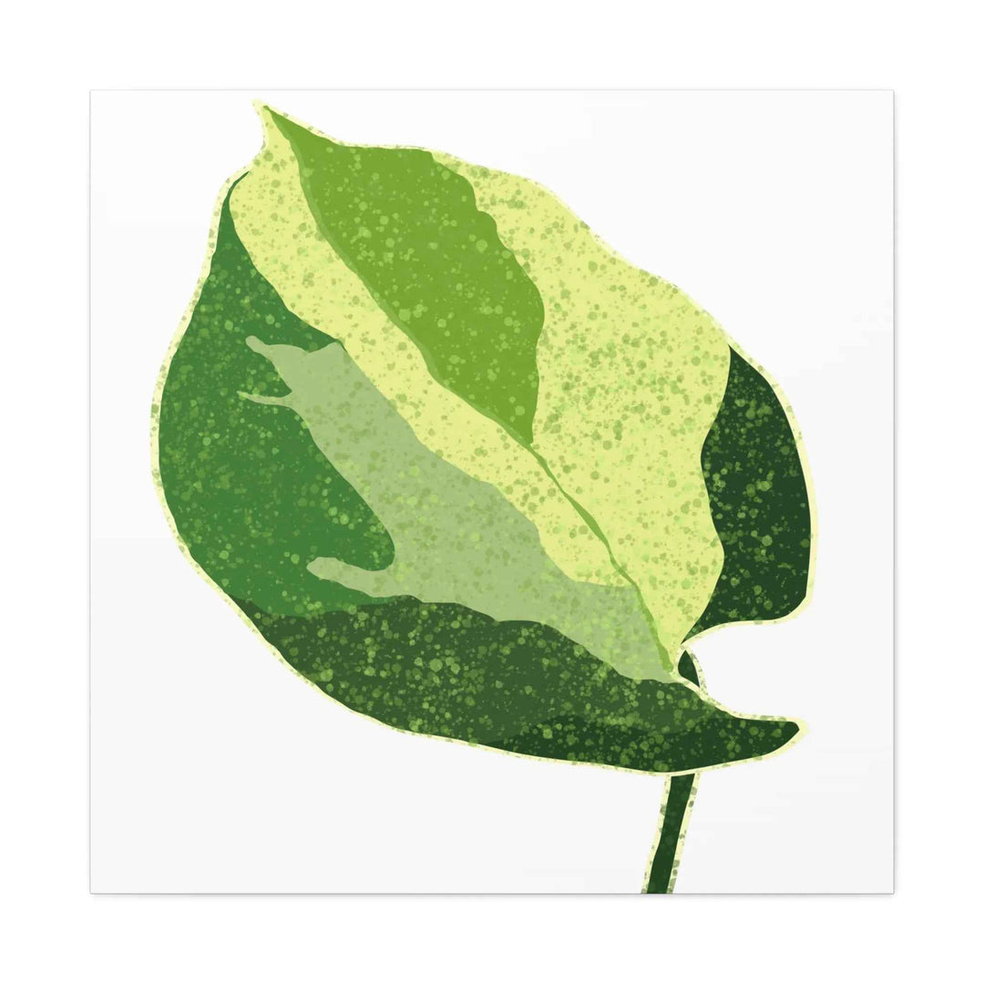 Pothos Canvas Print – Matte Finish Canvas Art Print With Durable Cotton Material