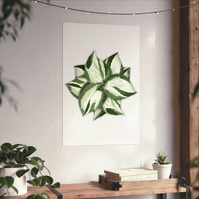 Manjula Pothos 打印