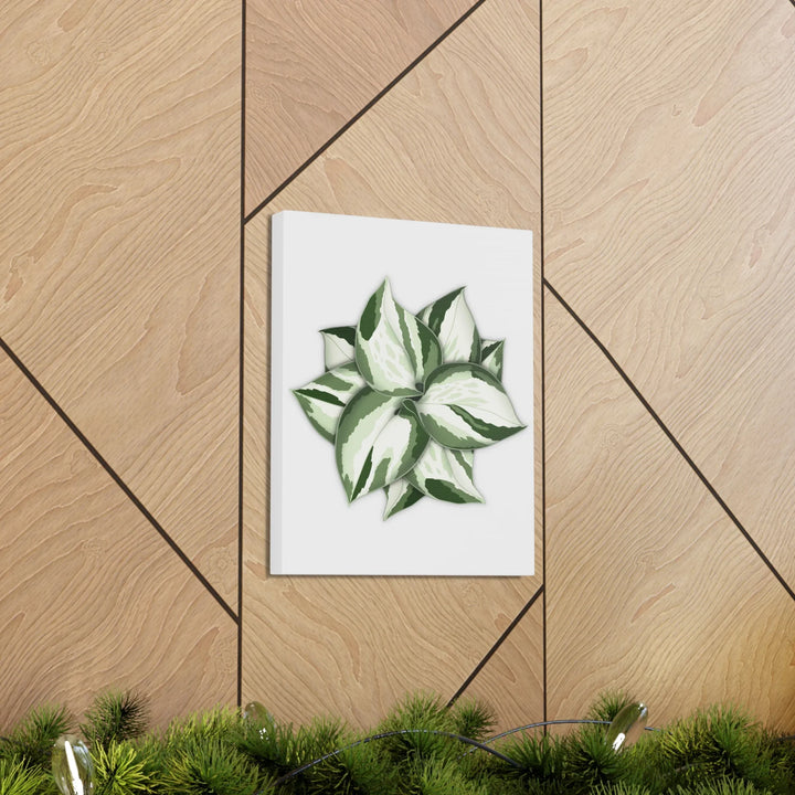 Manjula Pothos Canvas | Botanical Canvas Print - Indoor Plant Print Wall Art - Laura Christine Photography & Design
