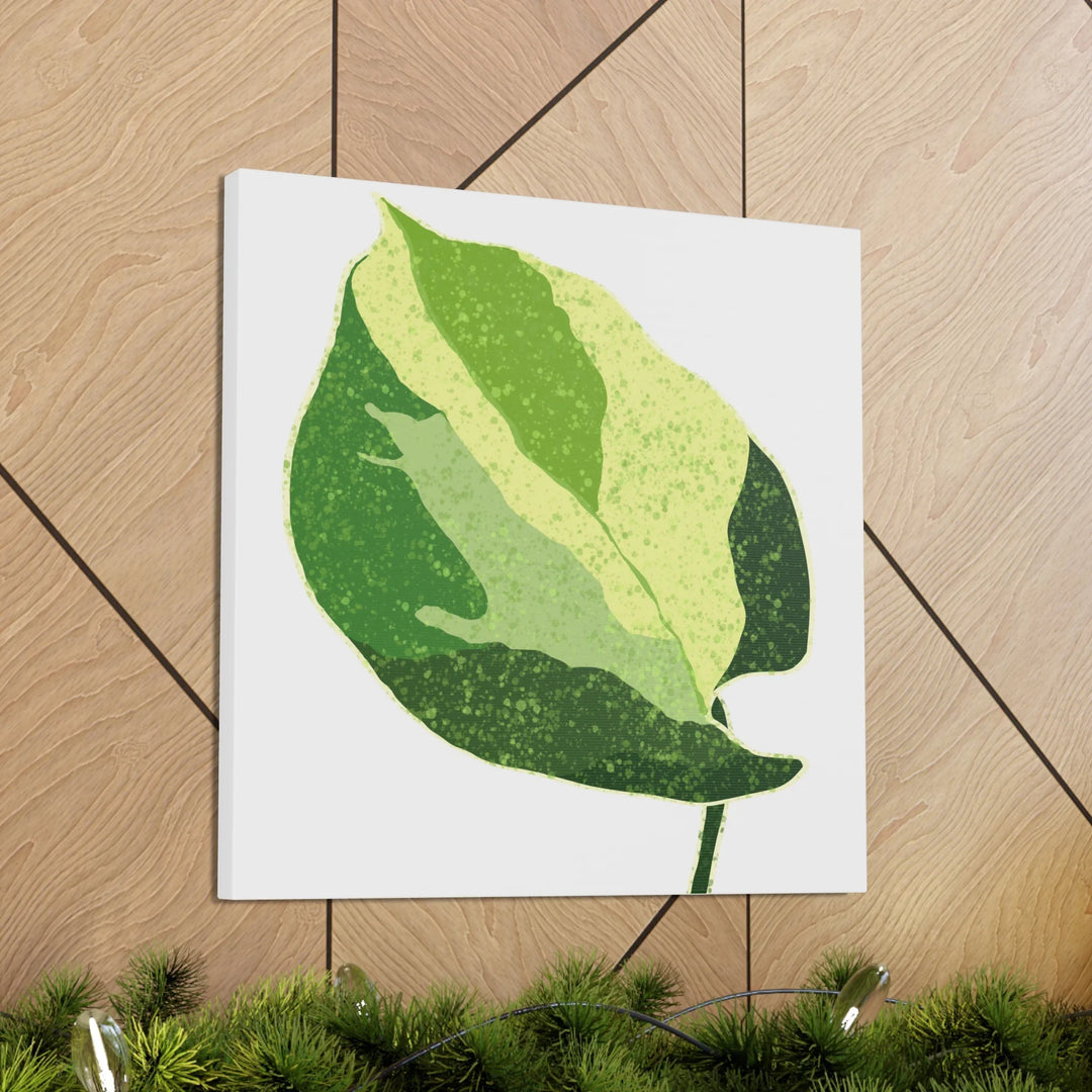Pothos Canvas Print – Matte Finish Canvas Art Print With Durable Cotton Material - Laura Christine Photography & Design