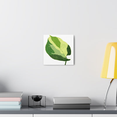 Manjula Pothos Canvas