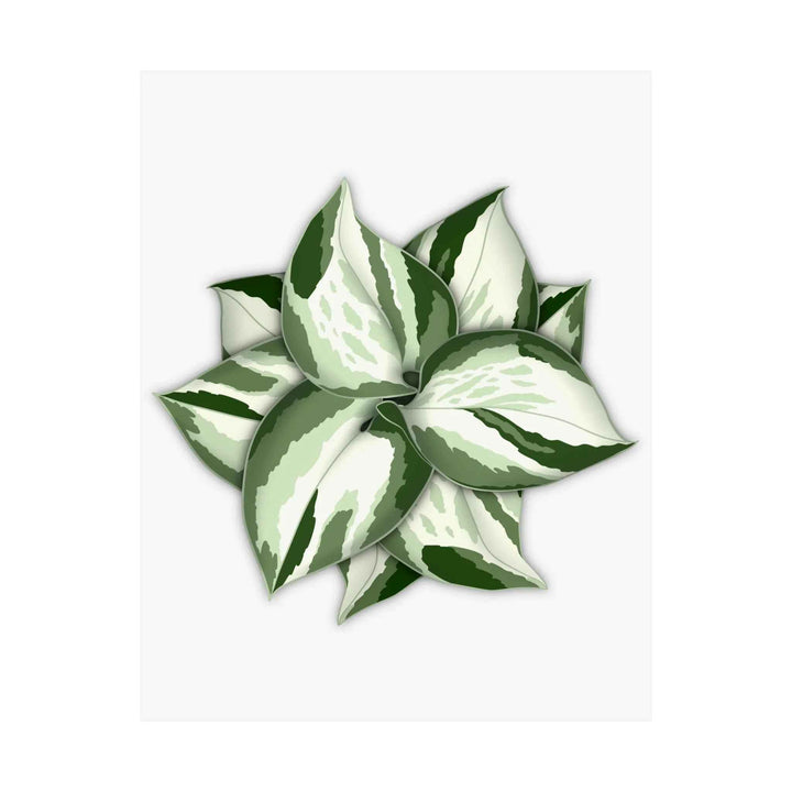 Manjula Pothos Print – Botanical Wall Art | Green Leaf Wall Decor | Unframed