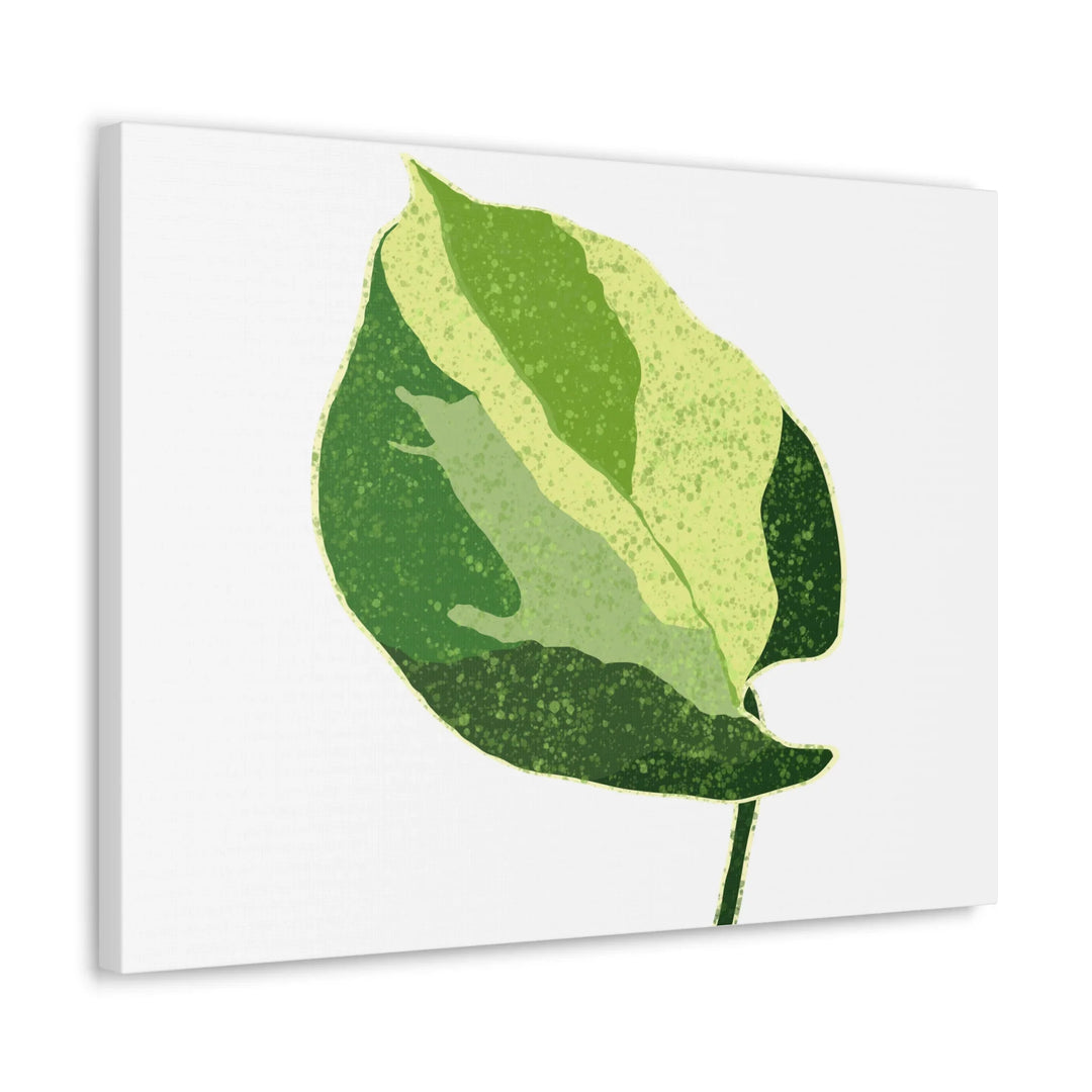 Pothos Canvas Print – Matte Finish Canvas Art Print With Durable Cotton Material - Laura Christine Photography & Design
