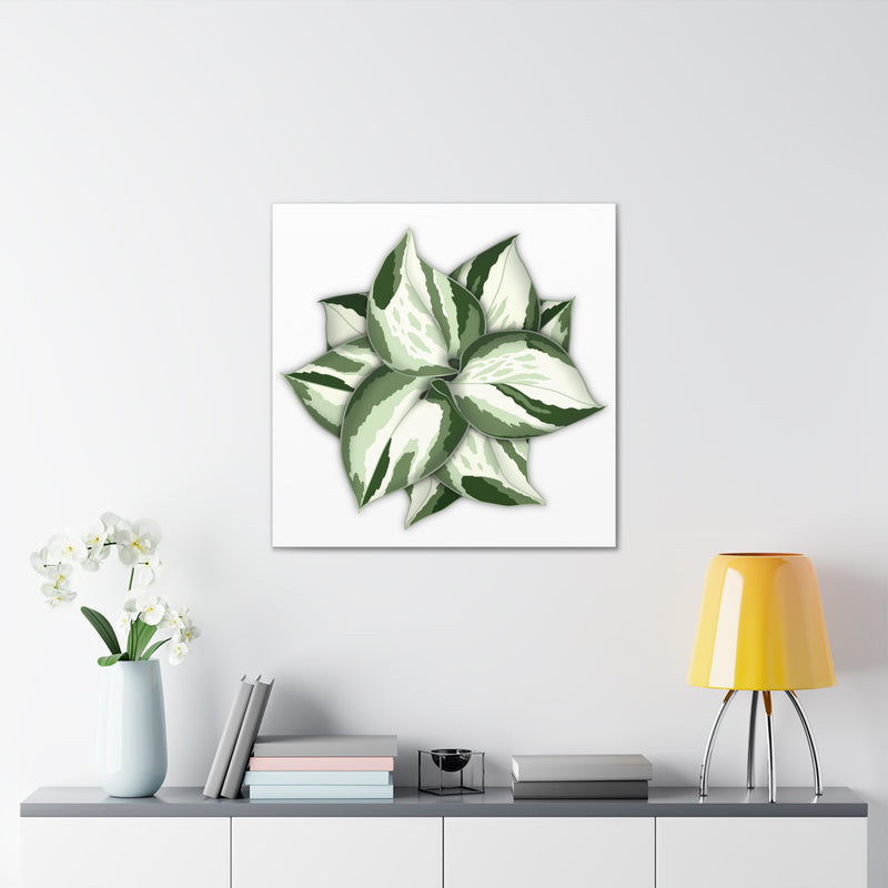 Manjula Pothos Canvas