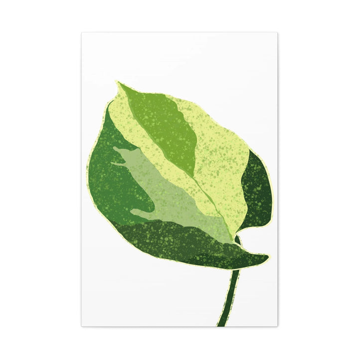 Pothos Canvas Print – Matte Finish Canvas Art Print With Durable Cotton Material - Laura Christine Photography & Design