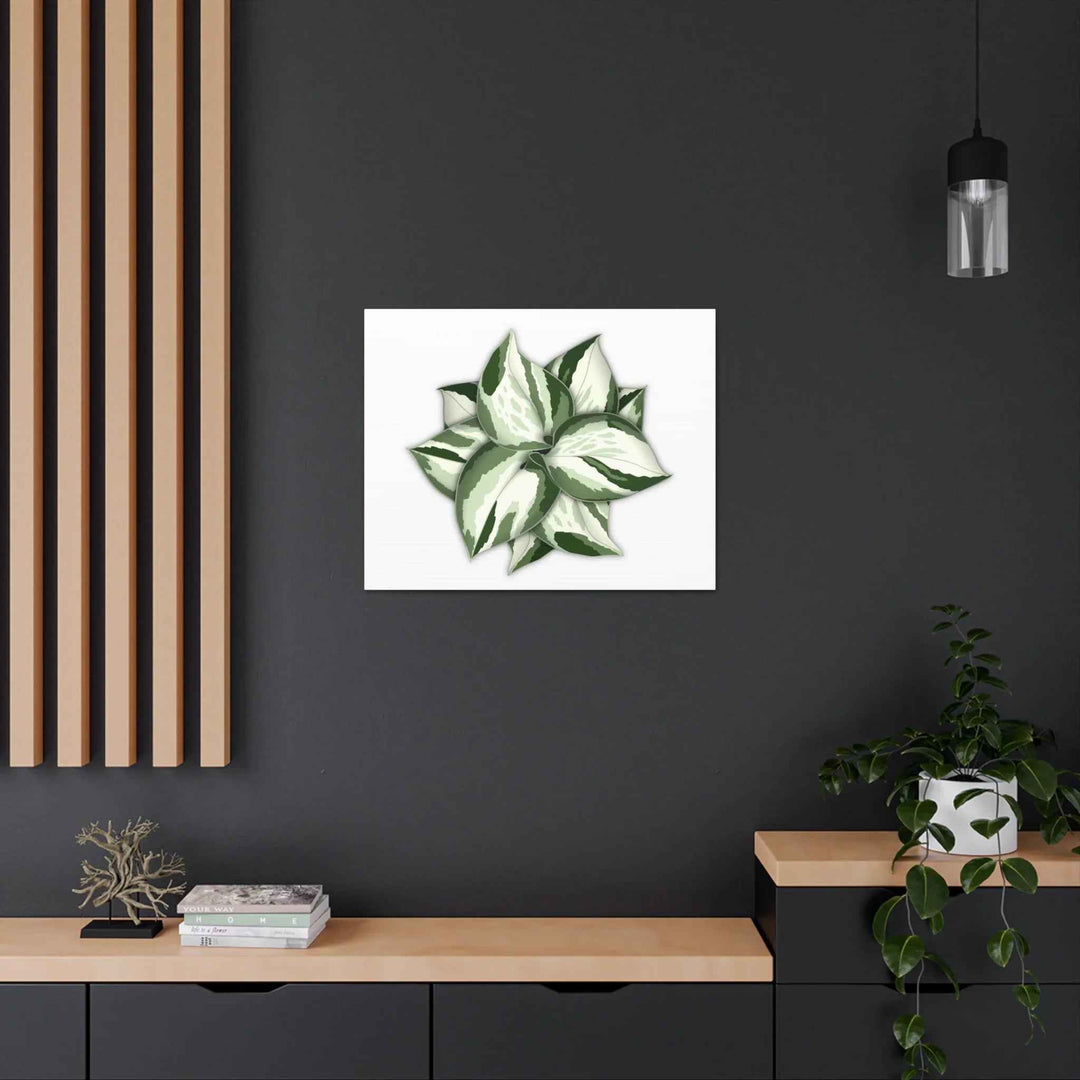 Manjula Pothos Canvas | Botanical Canvas Print - Indoor Plant Print Wall Art