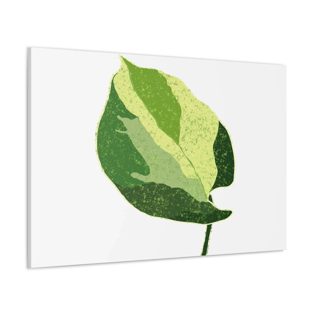 Pothos Canvas Print – Matte Finish Canvas Art Print With Durable Cotton Material - Laura Christine Photography & Design