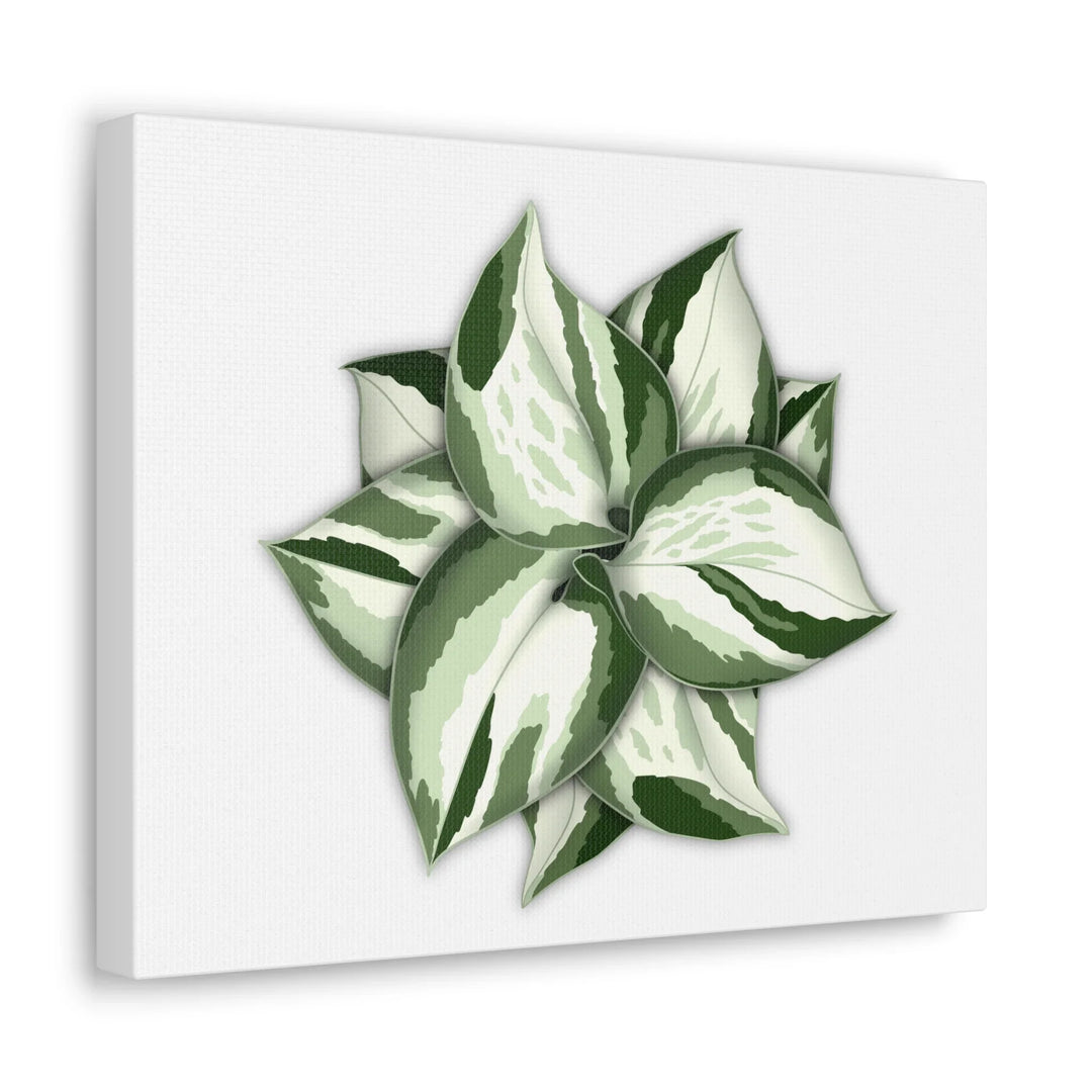 Manjula Pothos Canvas | Botanical Canvas Print - Indoor Plant Print Wall Art - Laura Christine Photography & Design