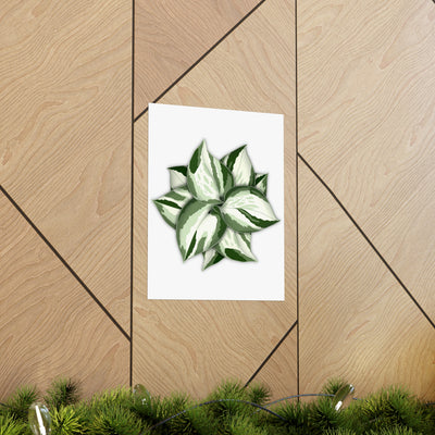 Manjula Pothos Print