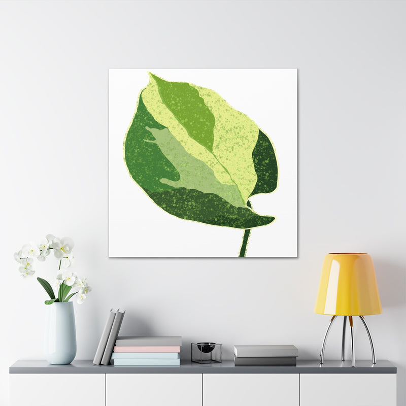 Manjula Pothos Canvas