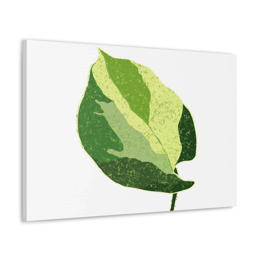 Pothos Canvas Print – Matte Finish Canvas Art Print With Durable Cotton Material - Laura Christine Photography & Design