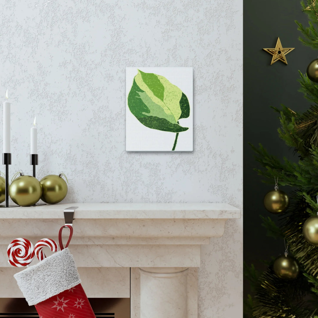 Pothos Canvas Print – Matte Finish Canvas Art Print With Durable Cotton Material - Laura Christine Photography & Design