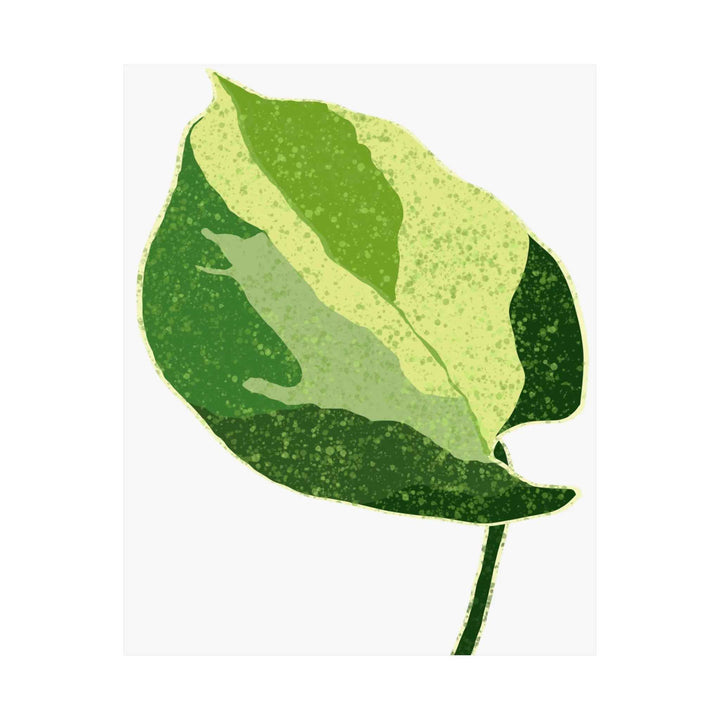 Pothos Wall Art – Botanical Poster on Museum Grade Paper | Indoor Plant Print Unframed