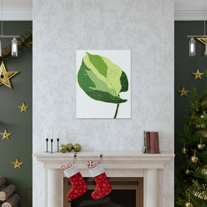 Pothos Canvas Print – Matte Finish Canvas Art Print With Durable Cotton Material - Laura Christine Photography & Design