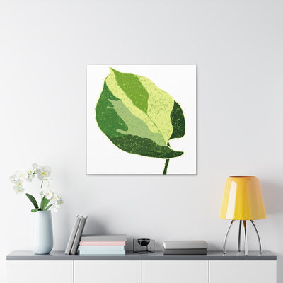 Manjula Pothos Canvas