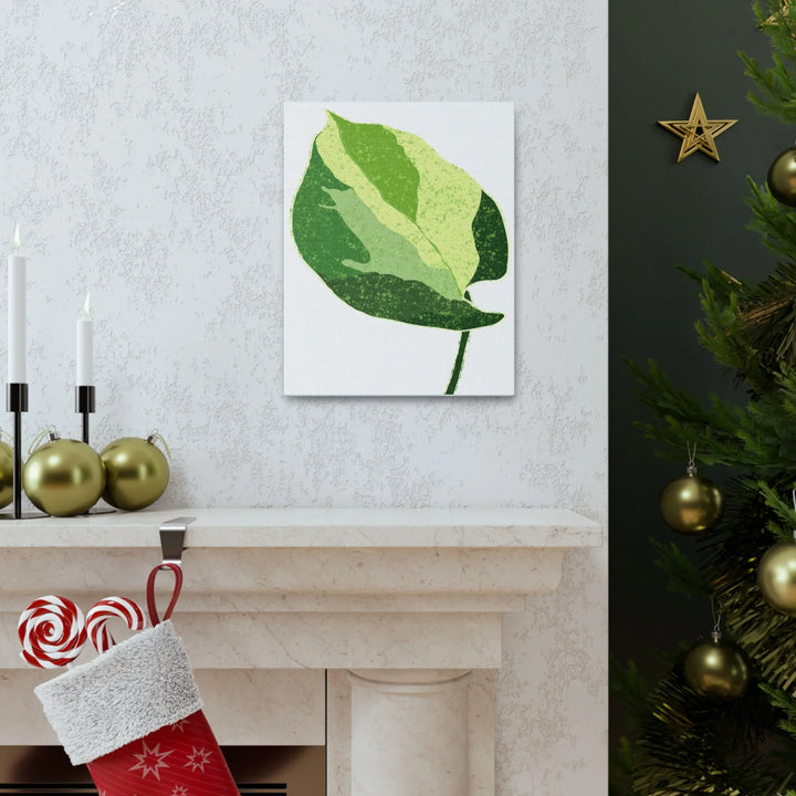 Pothos Canvas Print – Matte Finish Canvas Art Print With Durable Cotton Material - Laura Christine Photography & Design