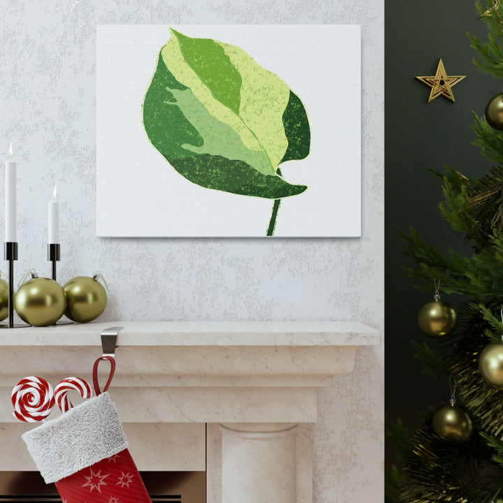 Pothos Canvas Print – Matte Finish Canvas Art Print With Durable Cotton Material - Laura Christine Photography & Design