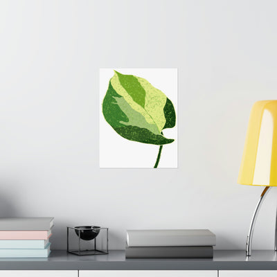 Manjula Pothos Print