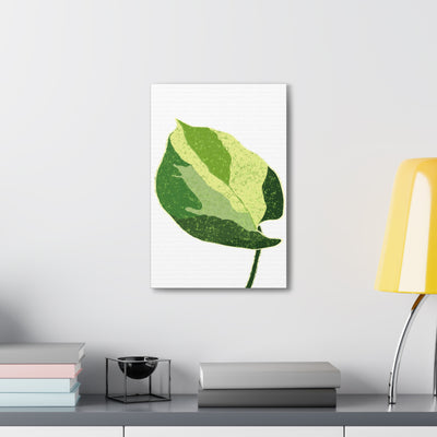 Manjula Pothos Canvas