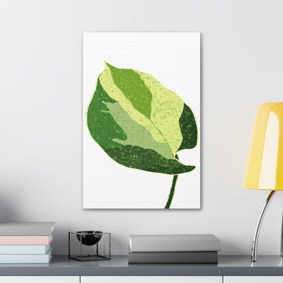 Manjula Pothos Canvas