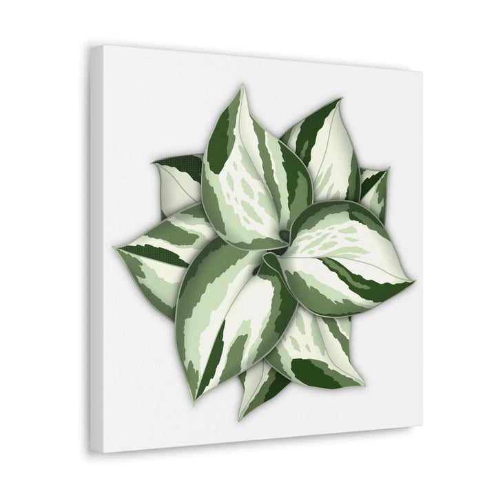 Manjula Pothos Canvas | Botanical Canvas Print - Indoor Plant Print Wall Art - Laura Christine Photography & Design