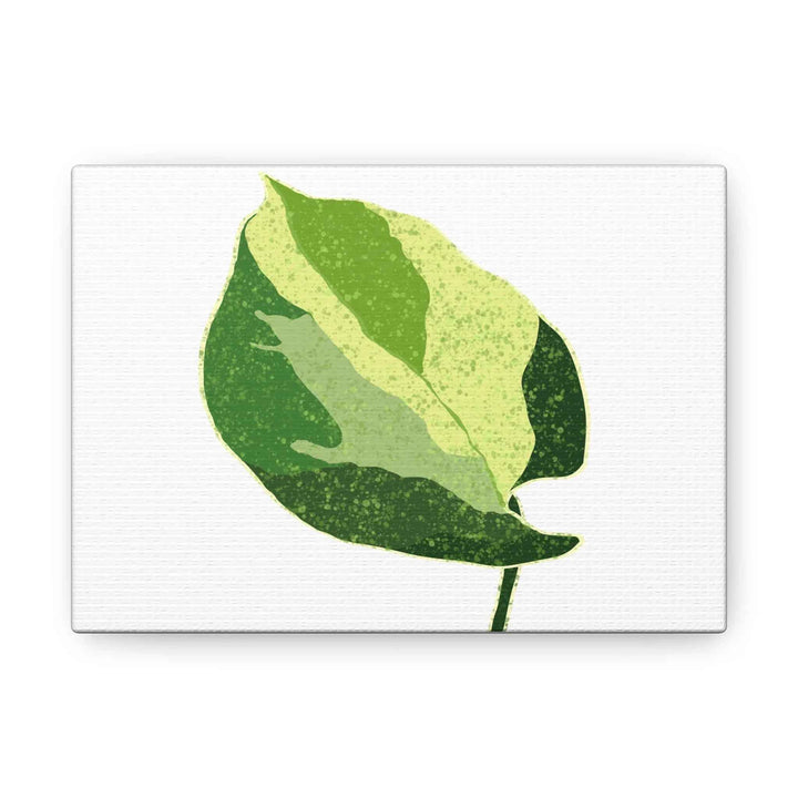 Pothos Canvas Print – Matte Finish Canvas Art Print With Durable Cotton Material