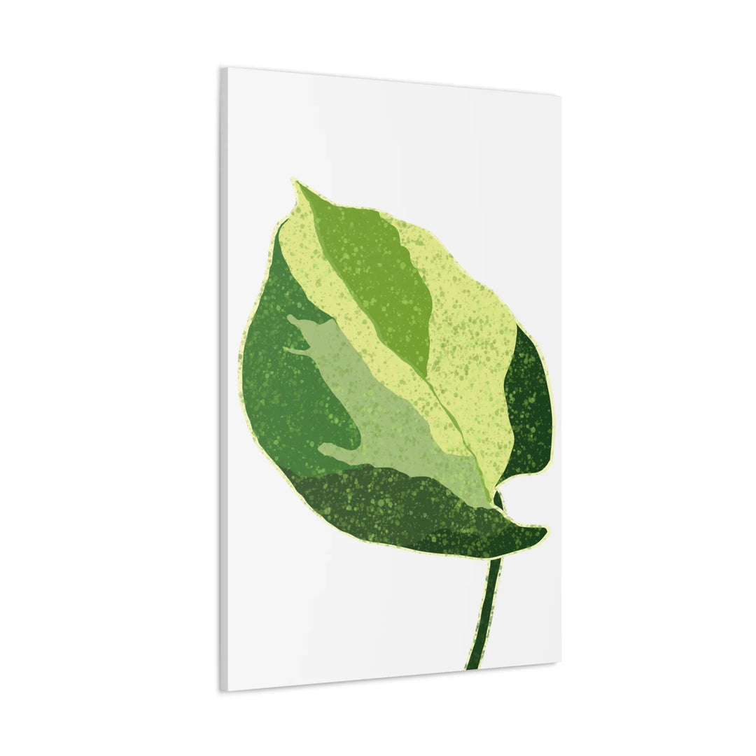 Pothos Canvas Print – Matte Finish Canvas Art Print With Durable Cotton Material - Laura Christine Photography & Design