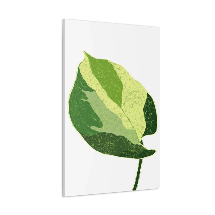 Pothos Canvas Print – Matte Finish Canvas Art Print With Durable Cotton Material - Laura Christine Photography & Design