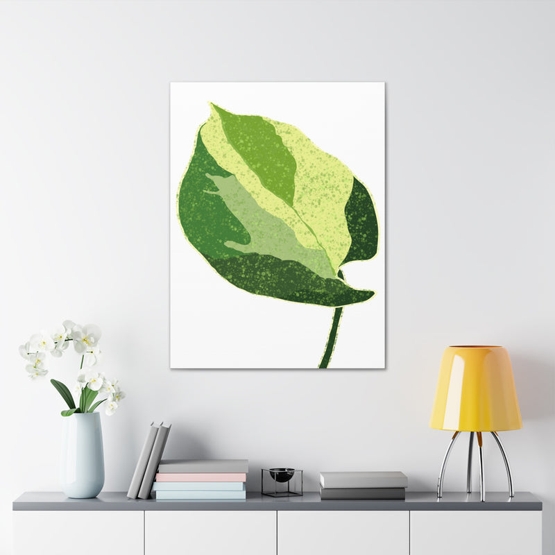 Manjula Pothos Canvas