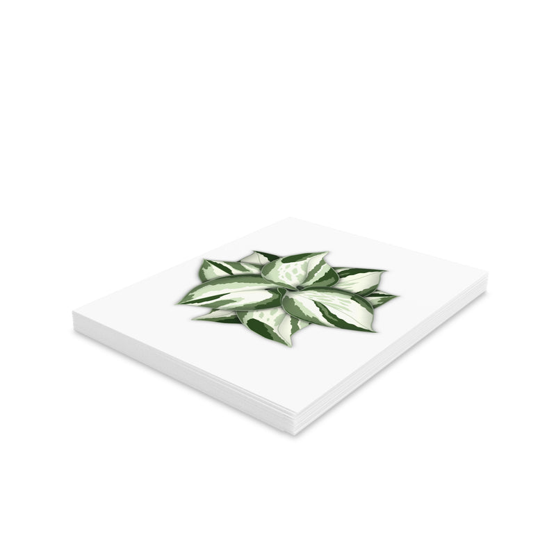 Manjula Pothos Greeting Card