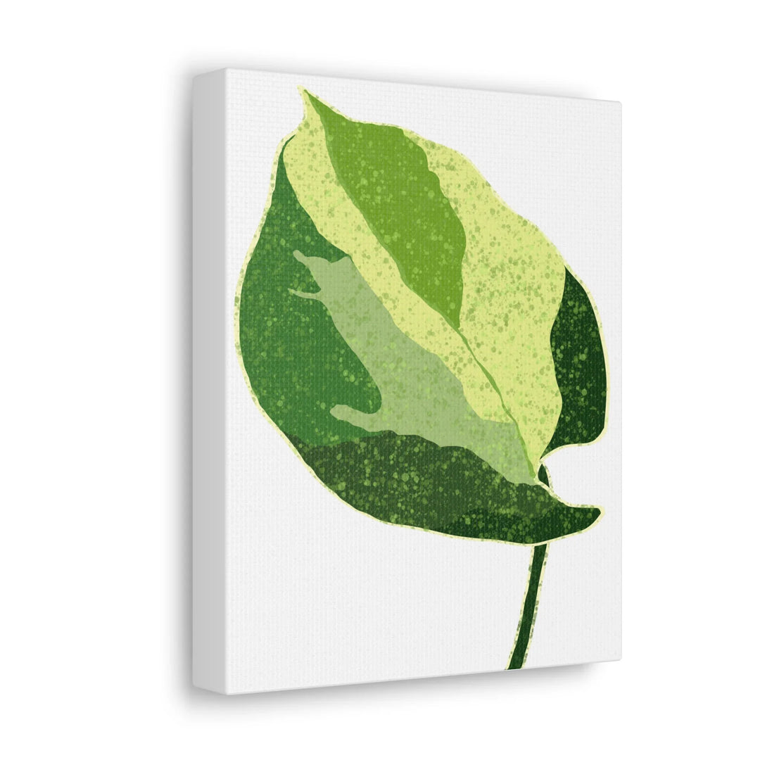 Pothos Canvas Print – Matte Finish Canvas Art Print With Durable Cotton Material - Laura Christine Photography & Design