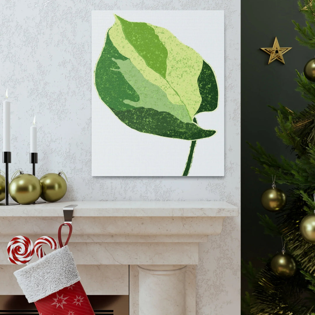 Pothos Canvas Print – Matte Finish Canvas Art Print With Durable Cotton Material - Laura Christine Photography & Design