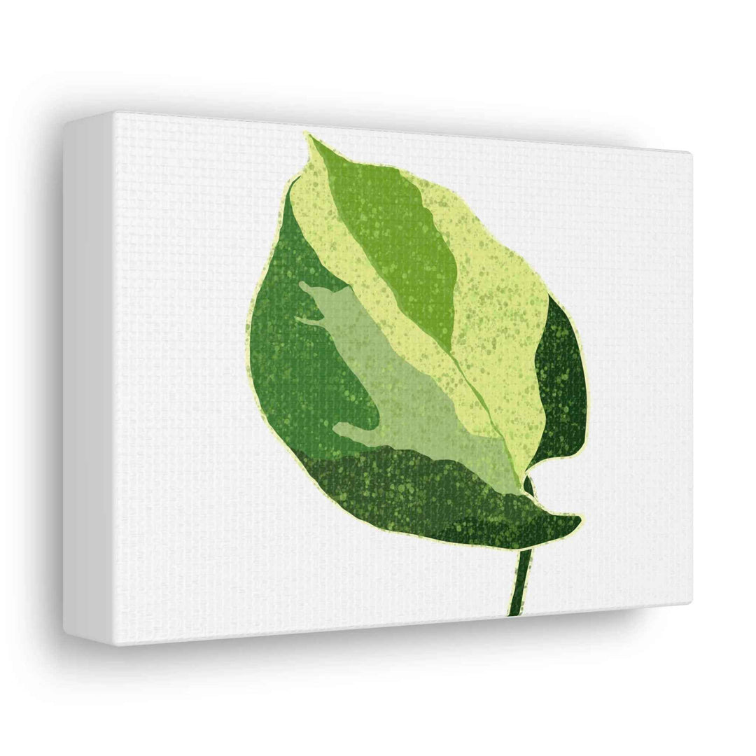 Pothos Canvas Print – Matte Finish Canvas Art Print With Durable Cotton Material