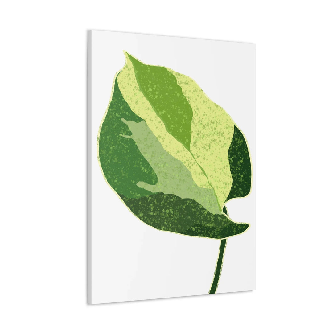 Pothos Canvas Print – Matte Finish Canvas Art Print With Durable Cotton Material - Laura Christine Photography & Design