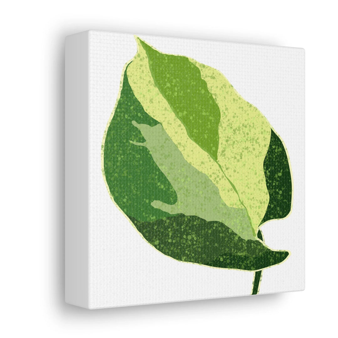 Pothos Canvas Print – Matte Finish Canvas Art Print With Durable Cotton Material - Laura Christine Photography & Design