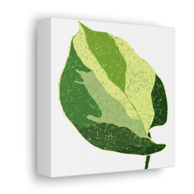 Manjula Pothos Canvas