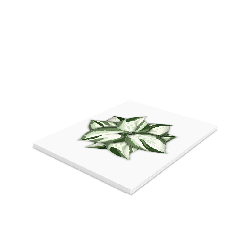 Manjula Pothos Greeting Card