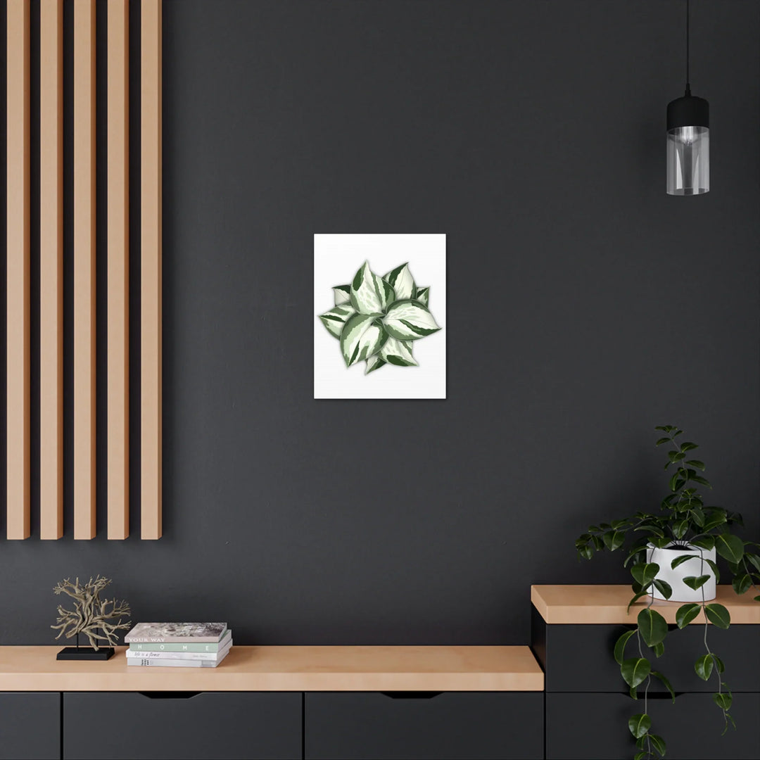 Manjula Pothos Canvas | Botanical Canvas Print - Indoor Plant Print Wall Art - Laura Christine Photography & Design