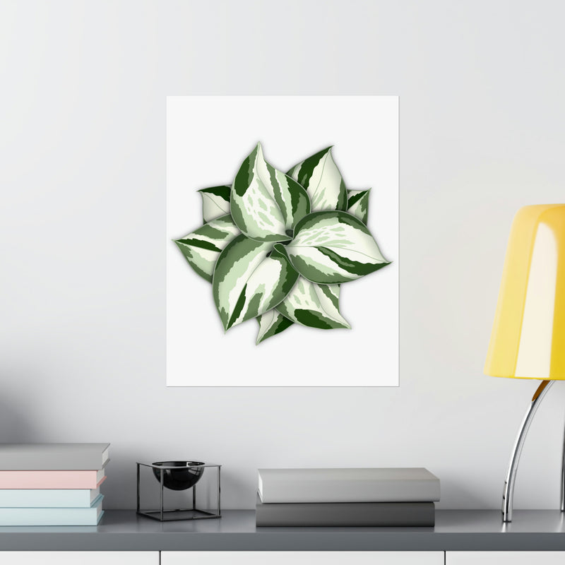 Manjula Pothos Print