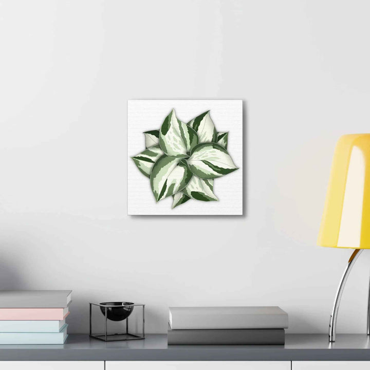Manjula Pothos Canvas | Botanical Canvas Print - Indoor Plant Print Wall Art
