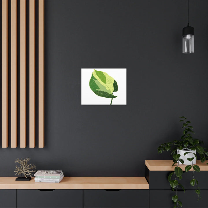 Pothos Canvas Print – Matte Finish Canvas Art Print With Durable Cotton Material - Laura Christine Photography & Design