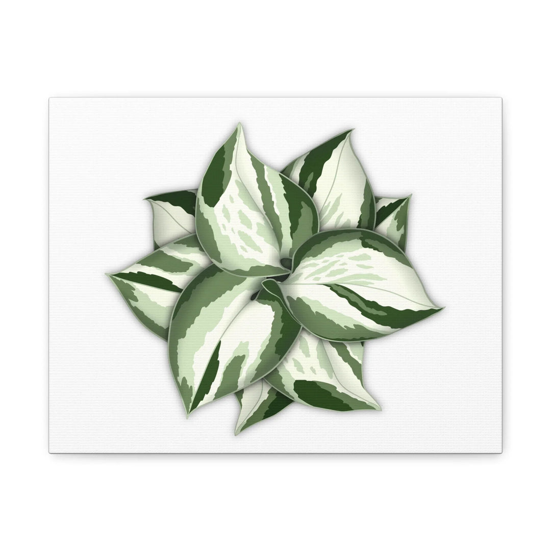 Manjula Pothos Canvas | Botanical Canvas Print - Indoor Plant Print Wall Art - Laura Christine Photography & Design