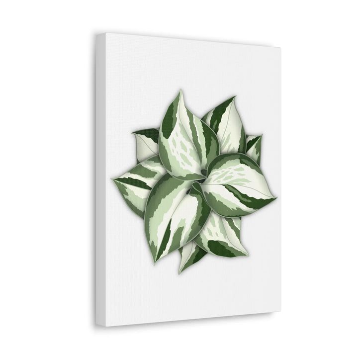Manjula Pothos Canvas | Botanical Canvas Print - Indoor Plant Print Wall Art - Laura Christine Photography & Design