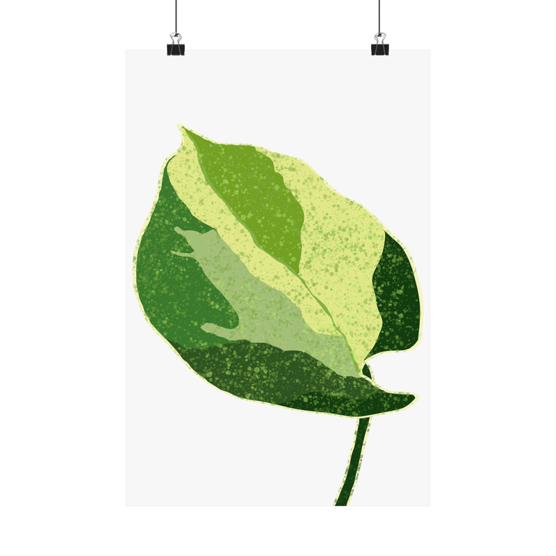 Manjula Pothos Print