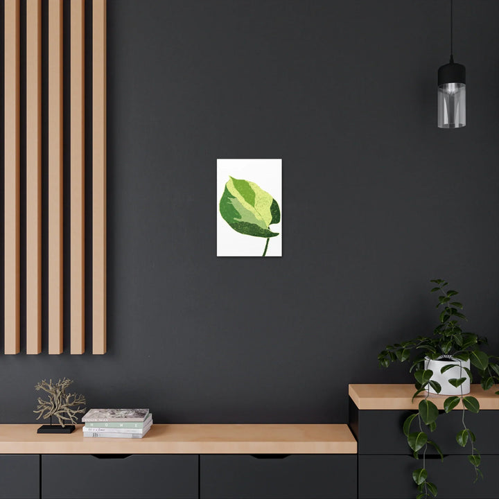 Pothos Canvas Print – Matte Finish Canvas Art Print With Durable Cotton Material - Laura Christine Photography & Design