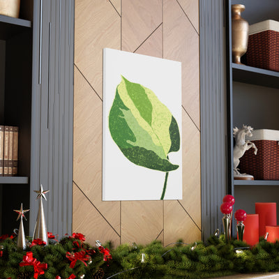 Manjula Pothos Canvas