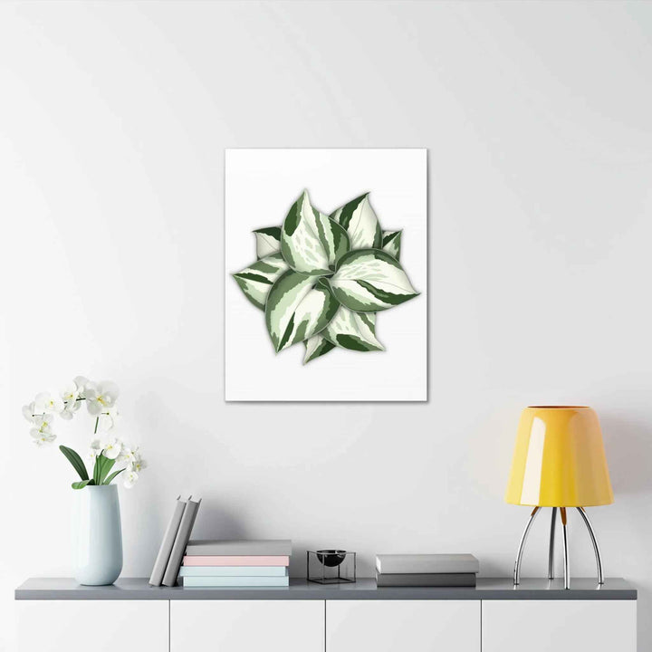 Manjula Pothos Canvas | Botanical Canvas Print - Indoor Plant Print Wall Art